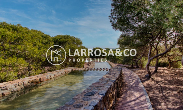 Вторичный рынок - Квартира - Торревьеха - Acequion