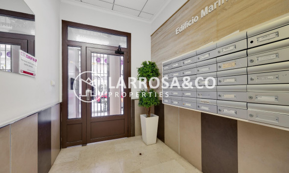 Reventa - Apartamento - Torrevieja - Estacion de autobuses