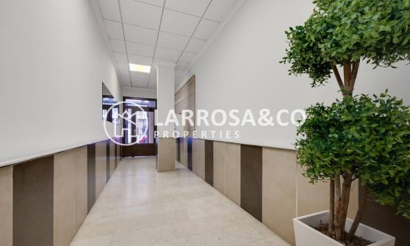 Reventa - Apartamento - Torrevieja - Estacion de autobuses