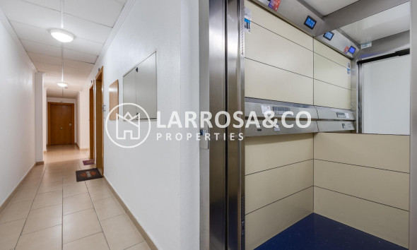 Reventa - Apartamento - Torrevieja - Estacion de autobuses