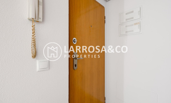 Reventa - Apartamento - Torrevieja - Estacion de autobuses