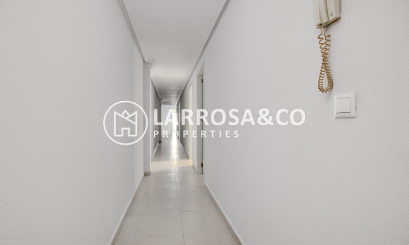 Reventa - Apartamento - Torrevieja - Estacion de autobuses