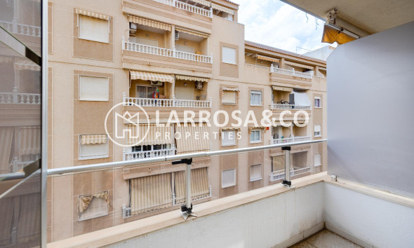 Reventa - Apartamento - Torrevieja - Estacion de autobuses