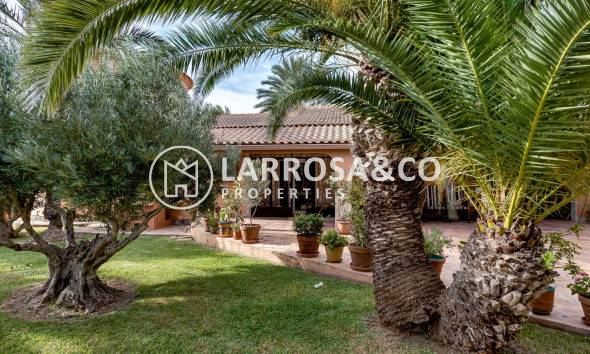 Reventa - Chalet - Torrevieja - San luis