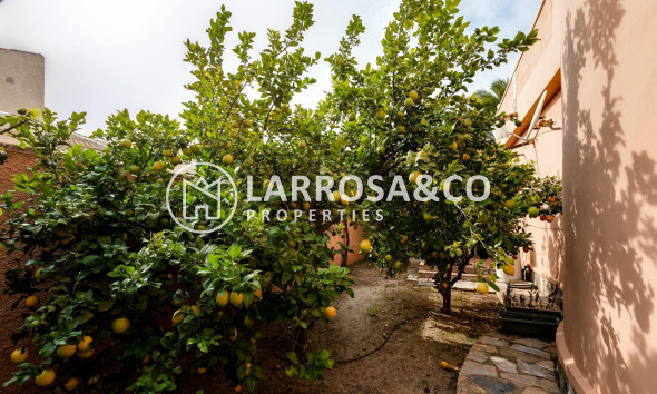 Reventa - Chalet - Torrevieja - San luis