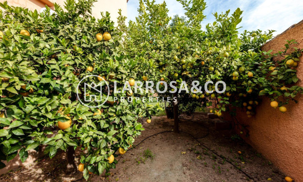 Reventa - Chalet - Torrevieja - San luis