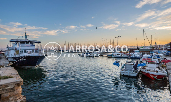 Resale - Detached House/Villa - Torrevieja - Aguas Nuevas