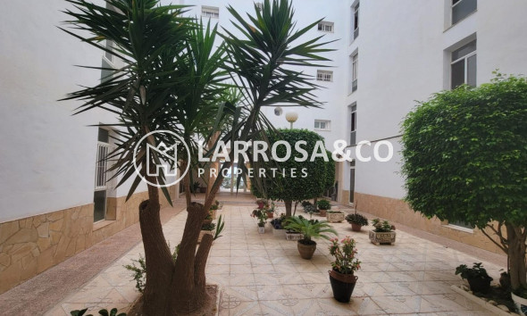 Resale - Ground floor apartment - Torrevieja - Aguas Nuevas