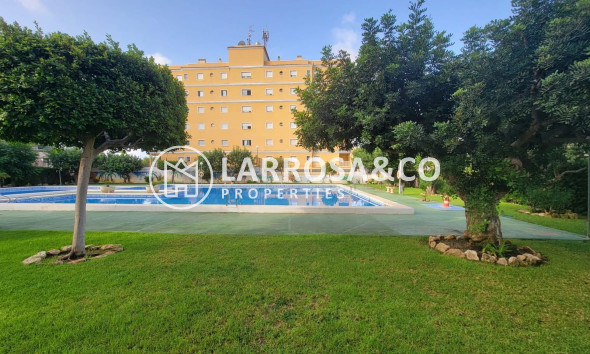 Resale - Ground floor apartment - Torrevieja - Aguas Nuevas