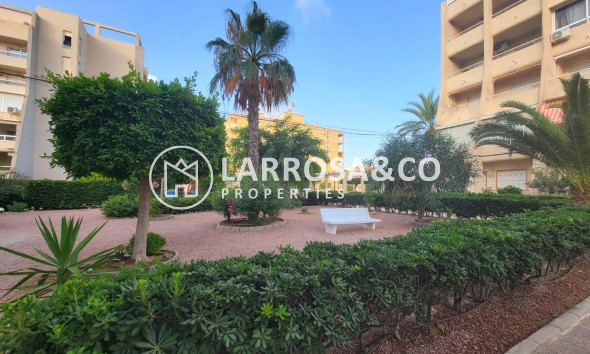Resale - Ground floor apartment - Torrevieja - Aguas Nuevas