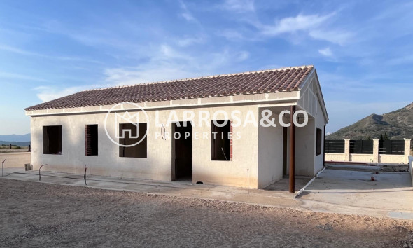New build - Detached House/Villa - Penaguila - El Olivar
