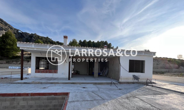 New build - Detached House/Villa - Penaguila - El Olivar