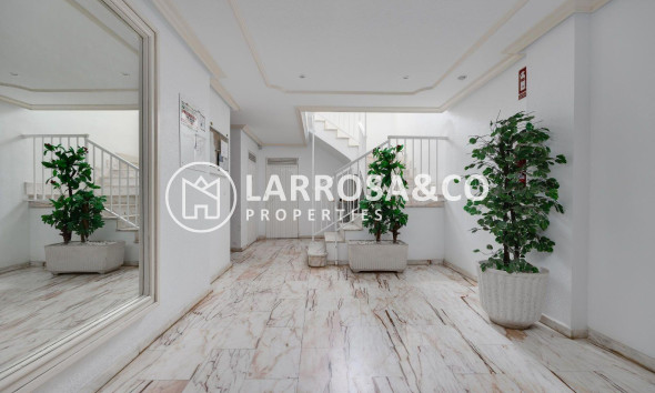 Reventa - Apartamento - Torrevieja - Centro