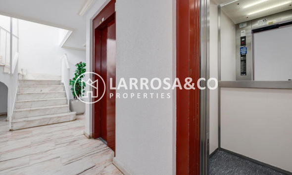 Reventa - Apartamento - Torrevieja - Centro