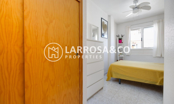 Reventa - Apartamento - Torrevieja - Centro