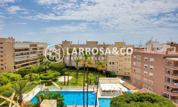 Reventa - Apartamento - Torrevieja - Centro
