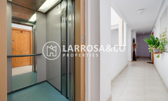 Resale - Apartment - Torrevieja - Habaneras