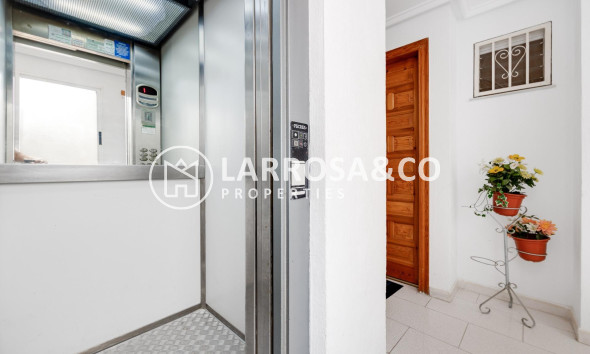 Вторичный рынок - Квартира - Торревьеха - Playa del cura