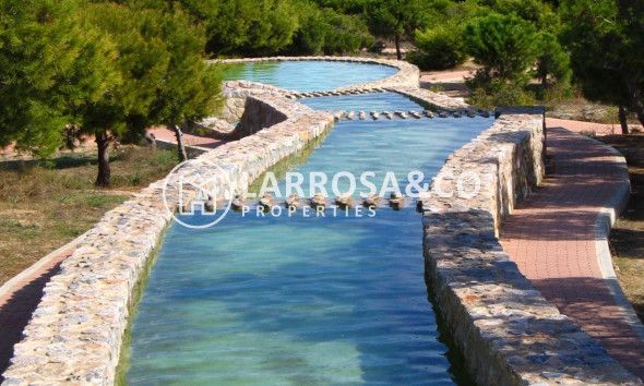 A Vendre - Apartment - Torrevieja - La Mata