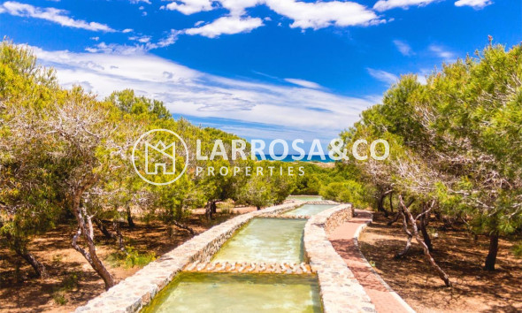 A Vendre - Apartment - Torrevieja - La Mata