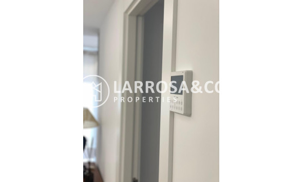 Location - Apartment - Guardamar del Segura