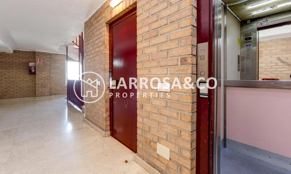 A Vendre - Apartment - Torrevieja - Los Locos Beach