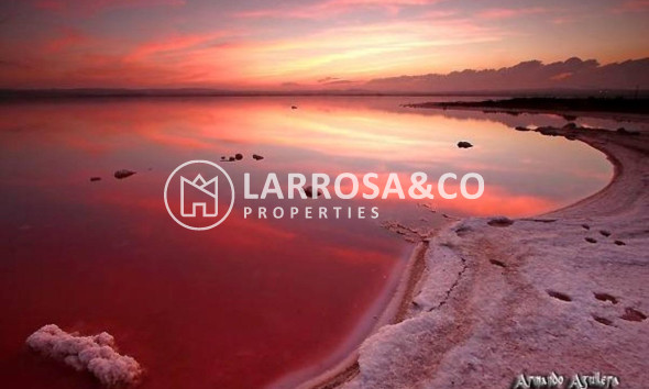 A Vendre - Semi-detached house - Torrevieja - La siesta