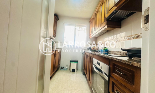 Reventa - Apartamento - Torrevieja - Nueva Torrevieja