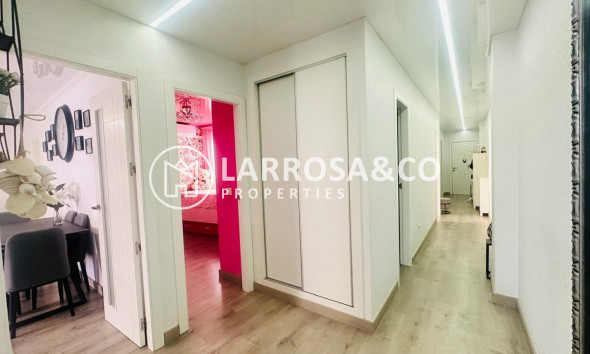 Reventa - Apartamento - Torrevieja - Nueva Torrevieja