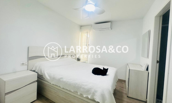 Reventa - Apartamento - Torrevieja - Nueva Torrevieja