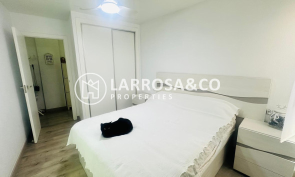 Reventa - Apartamento - Torrevieja - Nueva Torrevieja