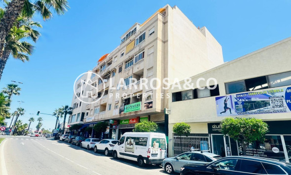 Reventa - Apartamento - Torrevieja - Nueva Torrevieja