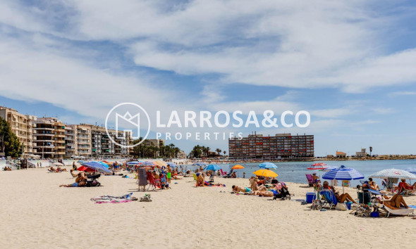 A Vendre - Apartment - Torrevieja - Playa del cura