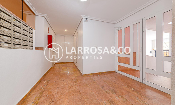 A Vendre - Apartment - Torrevieja - Playa del cura