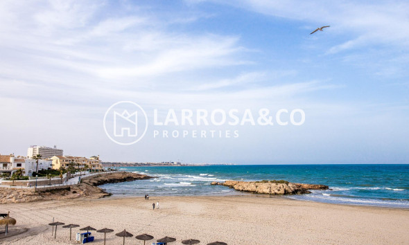 Reventa - Chalet - Orihuela costa - PAU 8