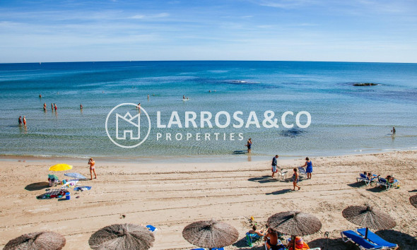 Reventa - Chalet - Orihuela costa - PAU 8