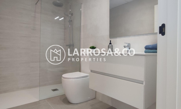 Obra Nueva - Chalet - Torre Pacheco - Balsicas