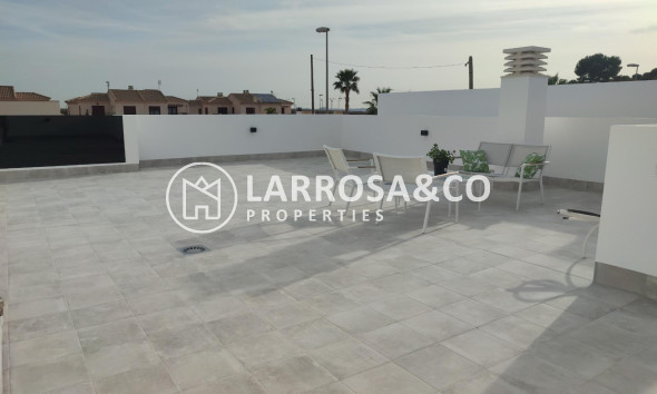 Obra Nueva - Chalet - Torre Pacheco - Balsicas