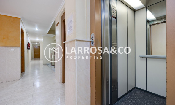 Herverkoop - Apartment - Torrevieja - Playa del cura