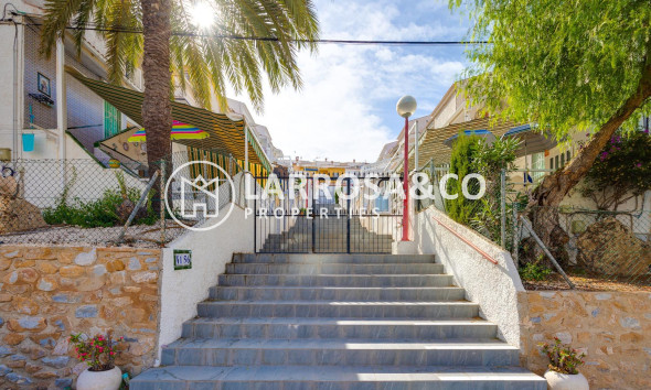 Reventa - Bungalow - Torrevieja - Cabo cervera