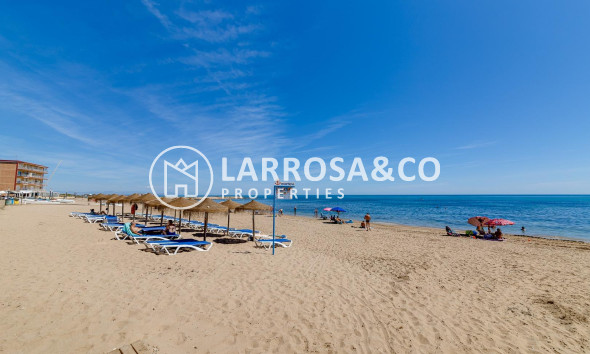 Reventa - Bungalow - Torrevieja - Cabo cervera