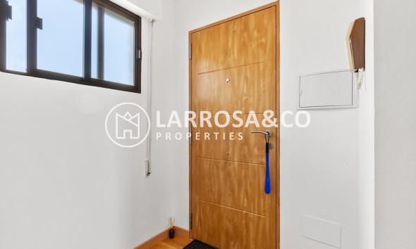 A Vendre - Penthouse  - Torrevieja - Cabo cervera