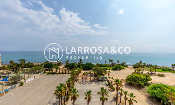 A Vendre - Penthouse  - Torrevieja - Cabo cervera