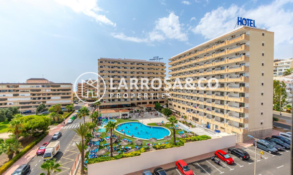 A Vendre - Penthouse  - Torrevieja - Cabo cervera