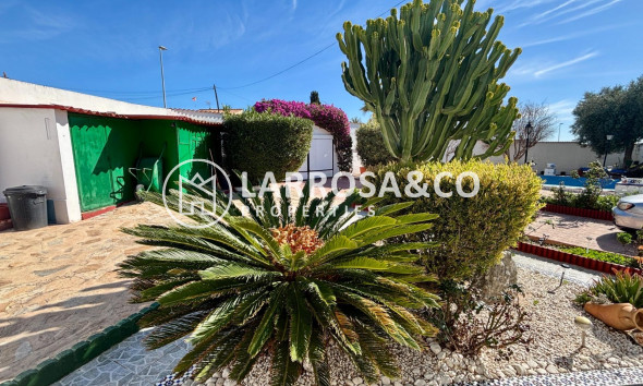 Вторичный рынок - Дом - Сьюдад Кесада - Ciudad Quesada