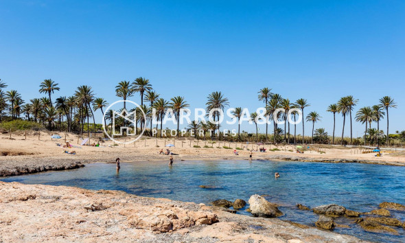 Reventa - Apartamento - Torrevieja - Punta Prima