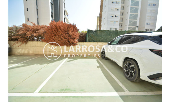 Reventa - Apartamento - Guardamar del Segura - SUP 7 