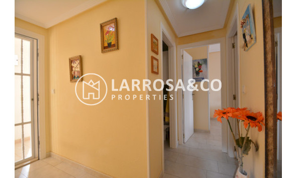 Reventa - Apartamento - Guardamar del Segura - SUP 7 