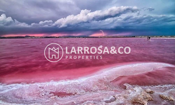 New build - Penthouse  - Torrevieja - Centro