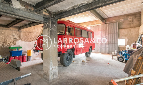 A Vendre - Industrial Field - Benejúzar - Comunidad valenciana